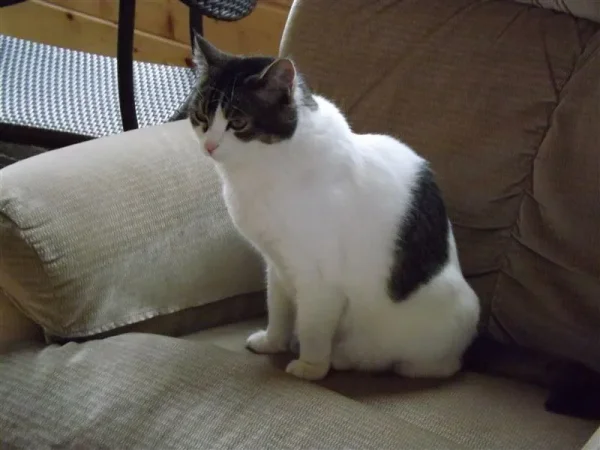 Tiny