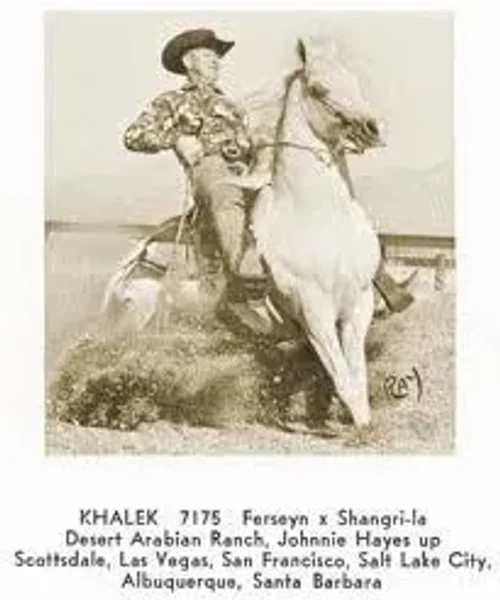 Khalek