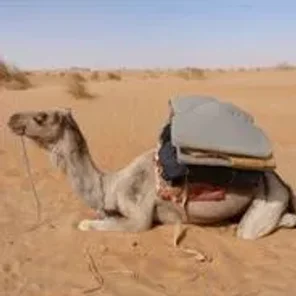 Adrar