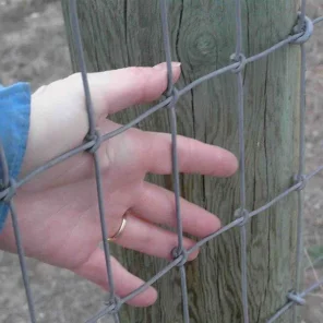 Horse Care - Pasture/Turnout/Fencing