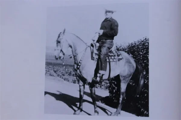 Atom (Raseyn x Gazya) Grey stallion, foaled April 23, 1948
bred by United States Government
