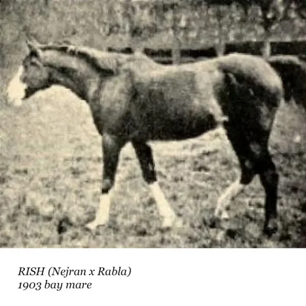 Rish