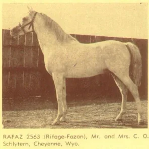 Rafaz