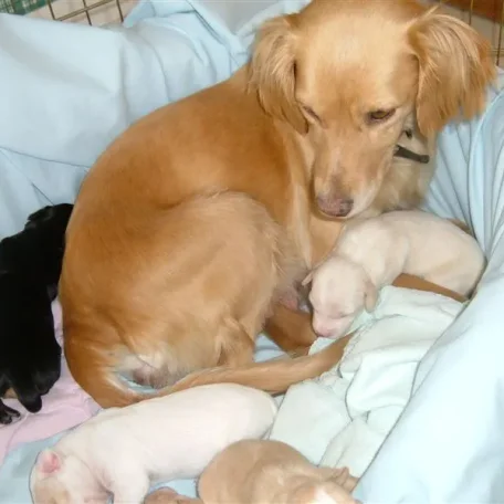 STAR's Momma Jesse