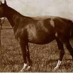 NOMENKLATURA