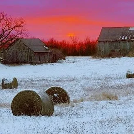 Covered Bridges and Winter Barns