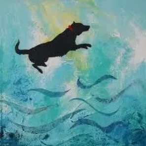 Chigi (Designer Dog)