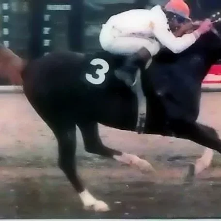 RD Five Star (*Patent x *Paluba) 1983 Chestnut Stallion
