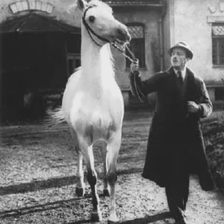 KASZMIR