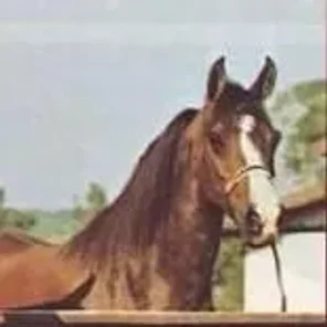 Rolada