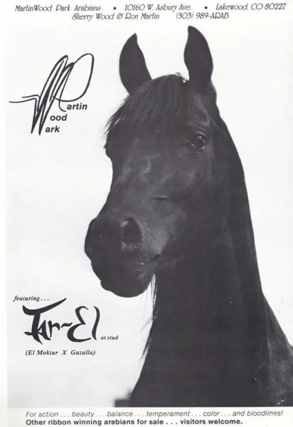 TAR-EL