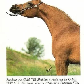 PRECIOUS AS GOLD