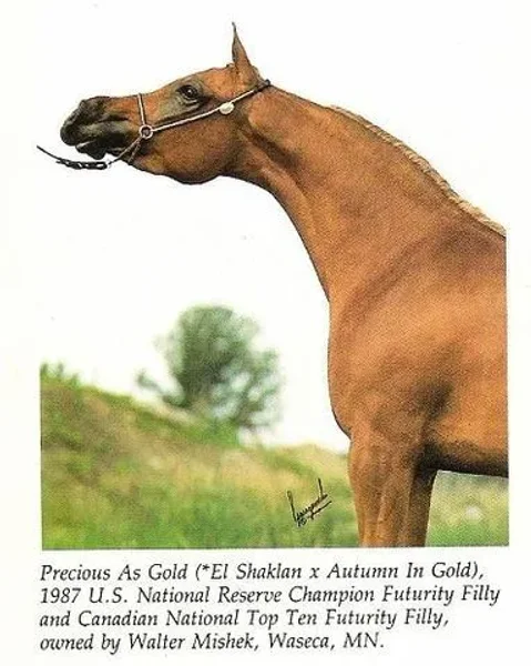 Precious as Gold