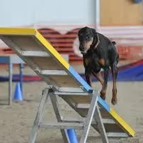 Agility Part 1