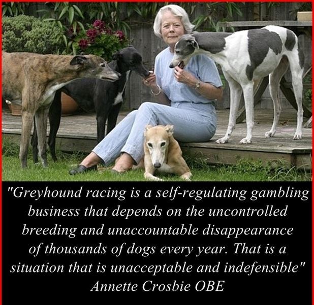 Revelations: Annette Crosbie - `That neglected dog broke my heart'