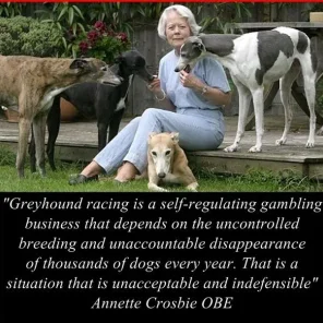 Revelations: Annette Crosbie - `That neglected dog broke my heart'