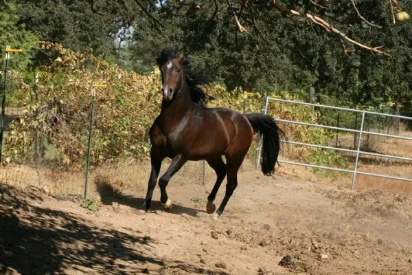 A Sentry