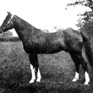 Joseph
