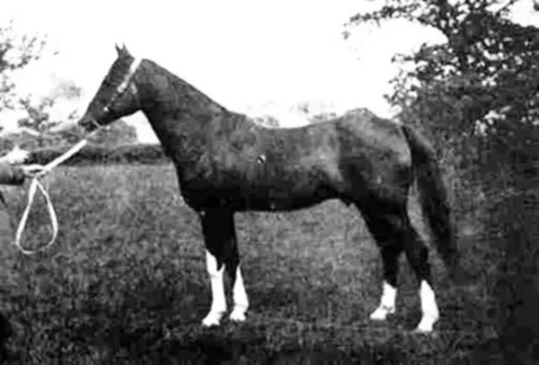 Joseph