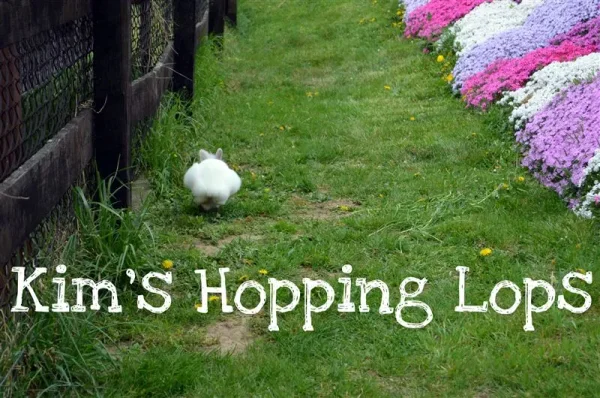 Kim's Hopping Lops' Blizzard