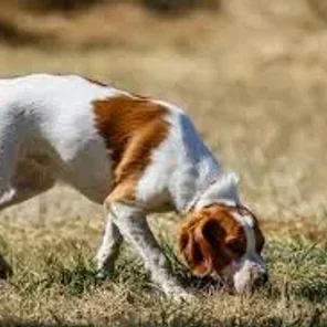 Agility Part 4 - Tracking Part 2