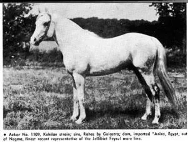 Azkar