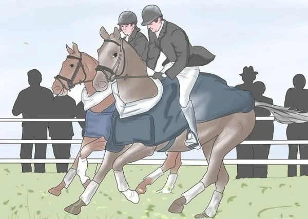Riding Disciplines and Equestrian Styles - which is right for you