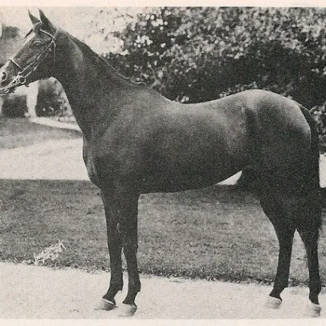 BINT SERRA I
