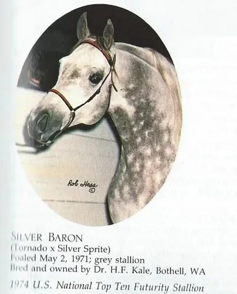 Silver Baron