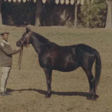Cleopatraa