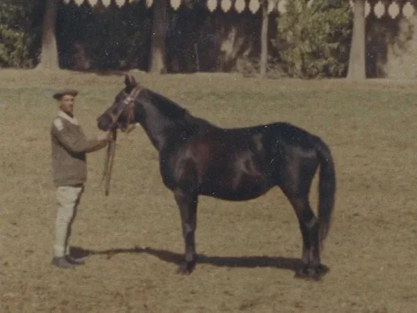 Cleopatraa