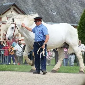 Boulonnais