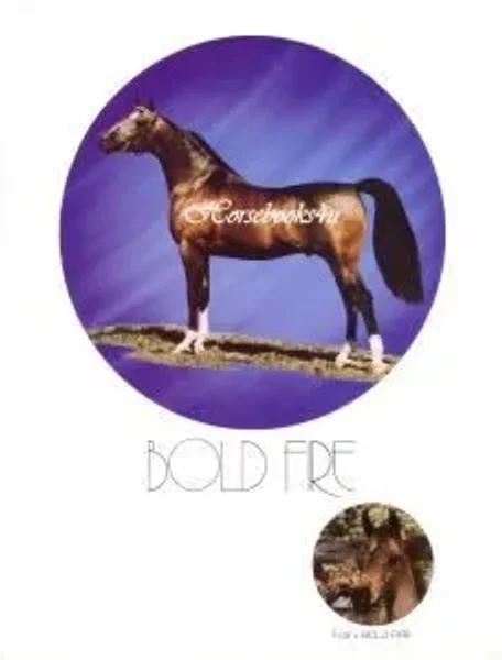Bold Fire