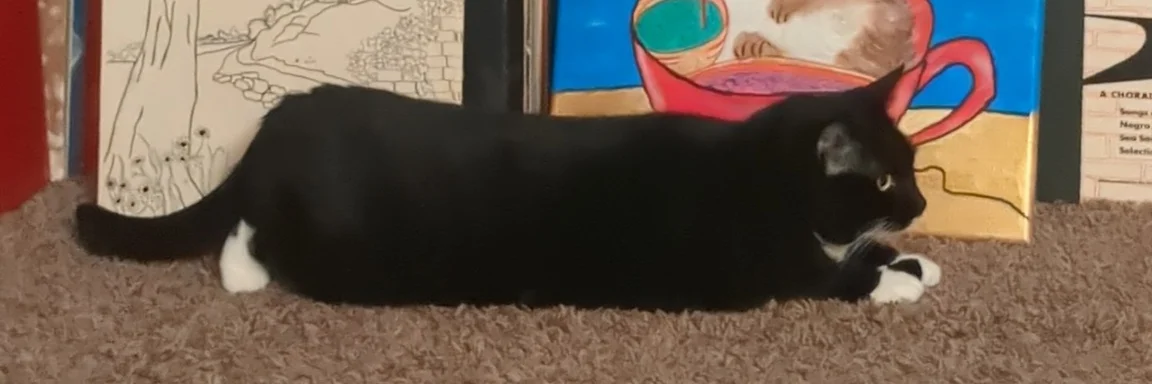 Abigail cover photo