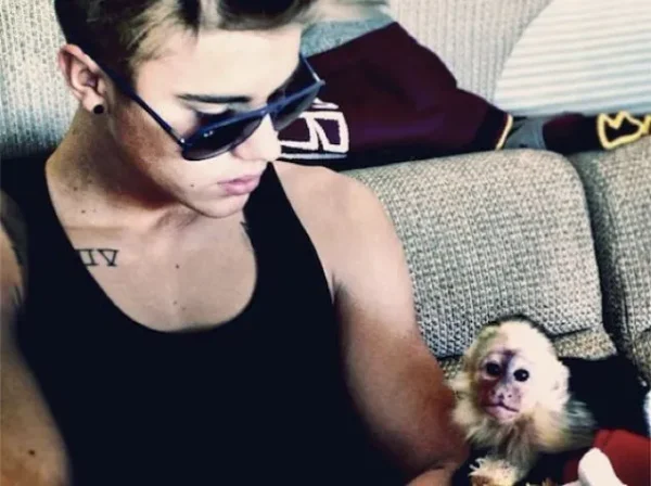 Justin Bieber