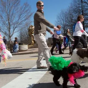 Animal Welfare League of Alexandria hosts third annual Mardi Growl
