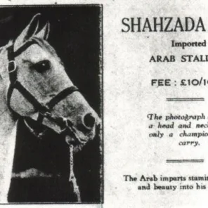 SHAHZADA