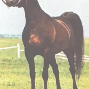 KJ SERAGEORGE