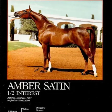 Certainly one of the greatest mares of all time, absoltuely breathtaking!
