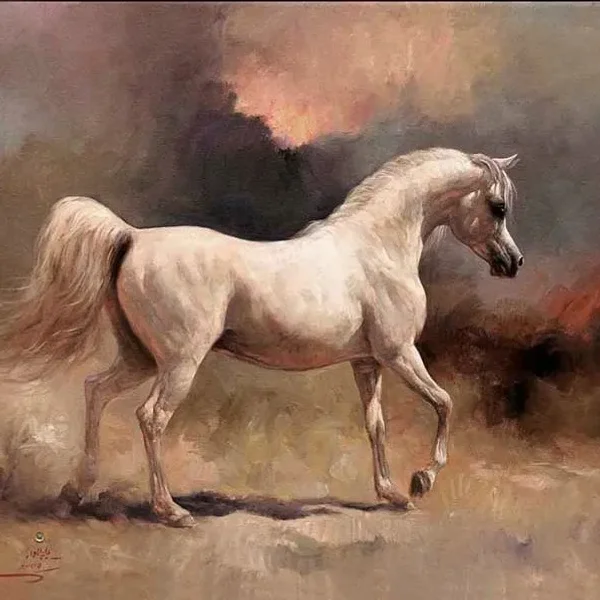
          Naborrs Shannon
        