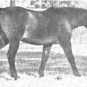 EGERIA