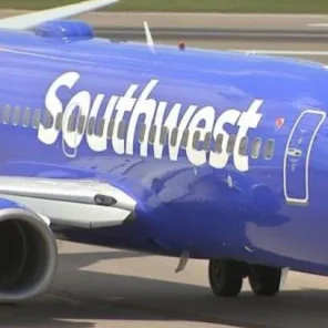 Miniature Horses Among Animals Allowed on Southwest