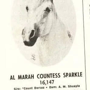 AL MARAH COUNTESS SPARKLE