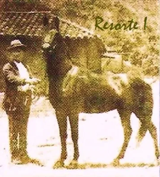 RESORTE I
