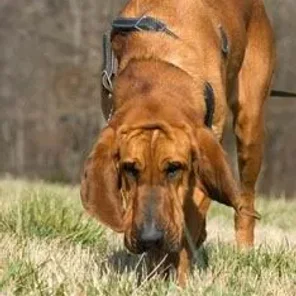 Agility Part 3 - Tracking