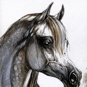 Latour Lavender Foal