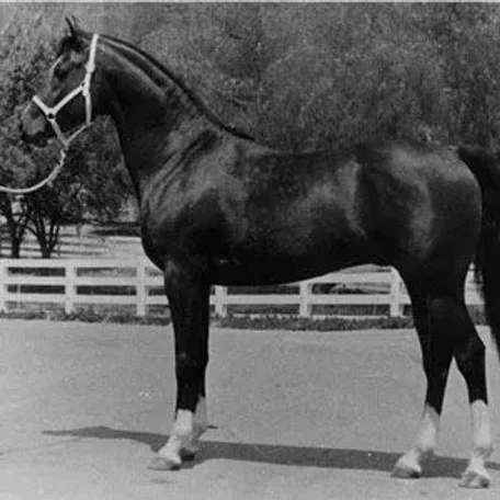 FARLOWA