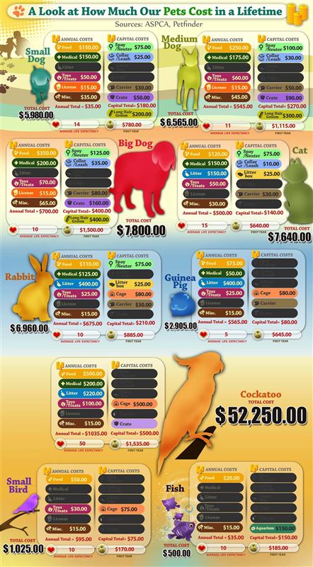 Cutting Pet Care Costs Part 2