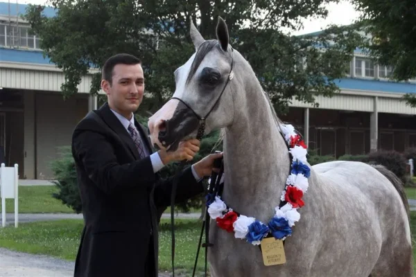 Heart N Soul WEA ( Falcon BHF x LC Misja )by Padrons Psyche