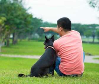 What's Going On When You Talk to Your Pet - Pt 2